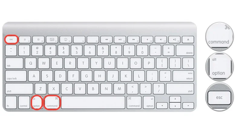Force Quit Mac by Using the Mac Shortcut